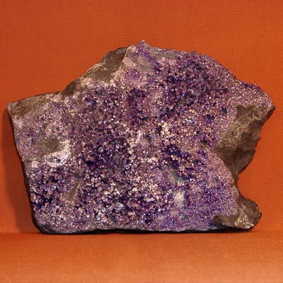 ���������� �������� ����������