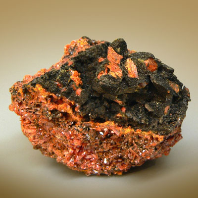 ���������� �������� ��������