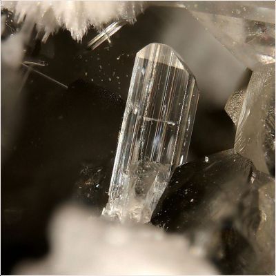 ���������� �������� ��������