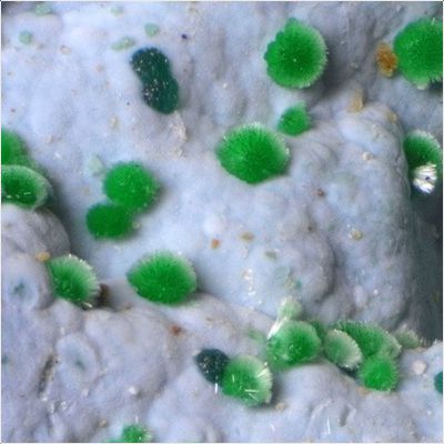 ���������� �������� �������-(Y)