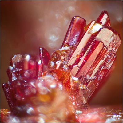 ���������� �������� �����������