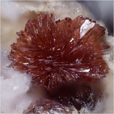 ���������� �������� ��������