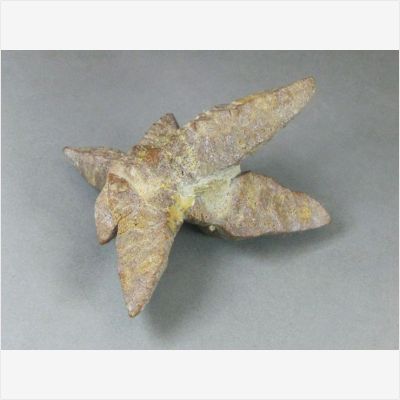 ���������� �������� ��������� 2