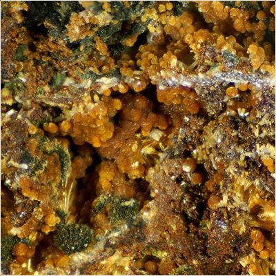 ���������� �������� ��������