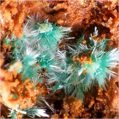 ���������� �������� ��������