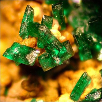 ���������� �������� ��������