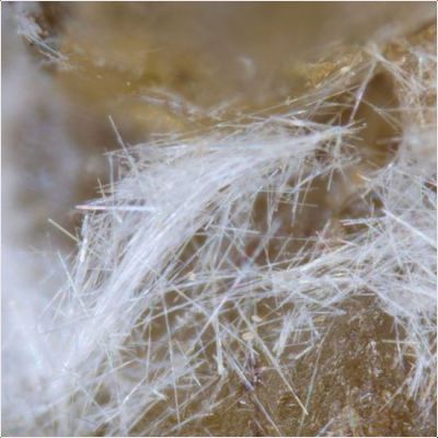 ���������� �������� �������-(Y)