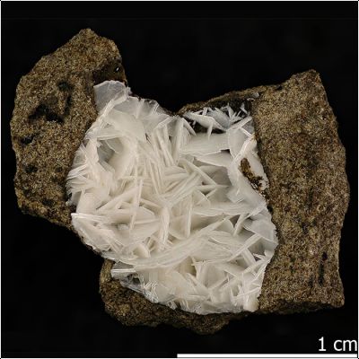 ���������� �������� �����-Na