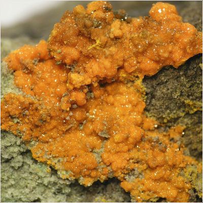 ���������� �������� �������