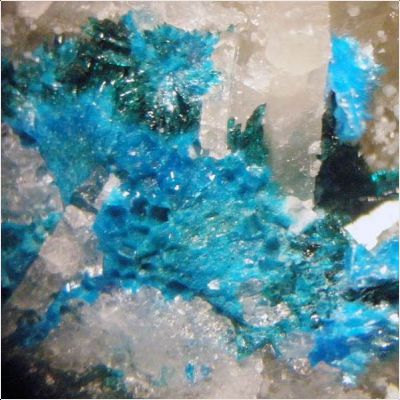 ���������� �������� ����������