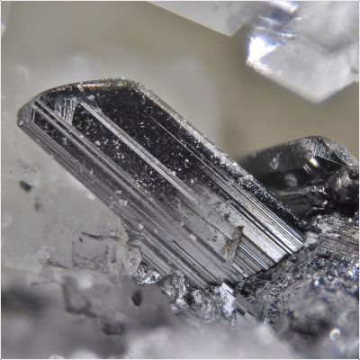 ���������� �������� �����������