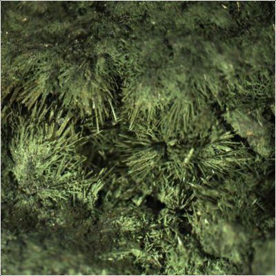 ���������� �������� ���������