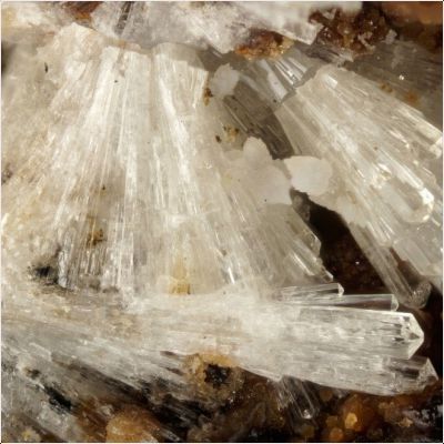 ���������� �������� ����������