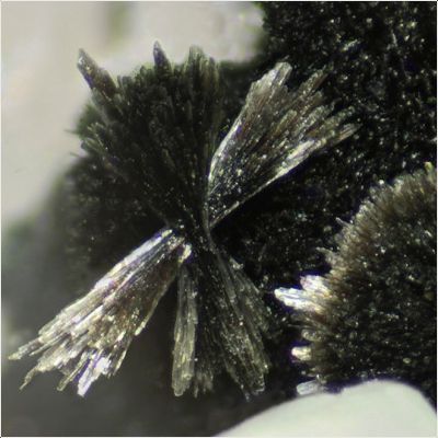 фотография минерала Джулголдит-(Fe2+)