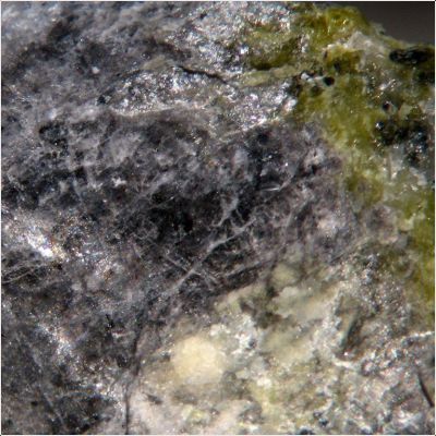 ���������� �������� ����������