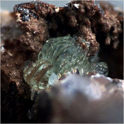 ���������� �������� ��������