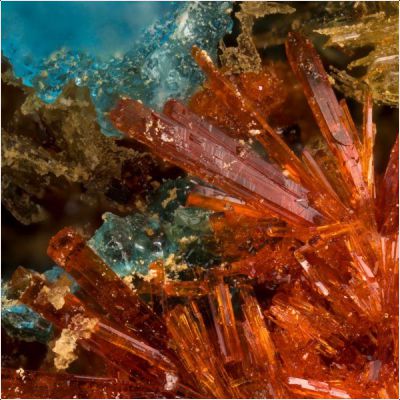 ���������� �������� ���������