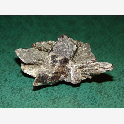 ���������� �������� ������������