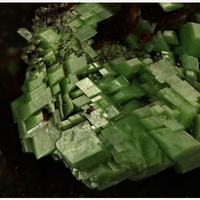 ���������� �������� ���������